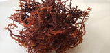 Premium Organic Purple Sea Moss