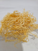 Premium Organic Gold Sea Moss