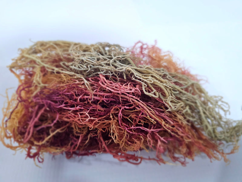 Premium Organic Rainbow Sea Moss