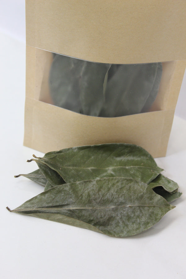 DRY ORGANIC SOURSOP TEA LEAVES